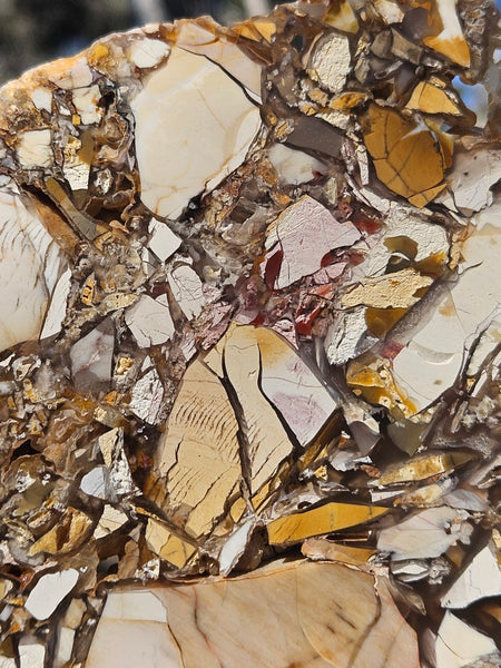 Polished Brecciated Mookaite slab BM341