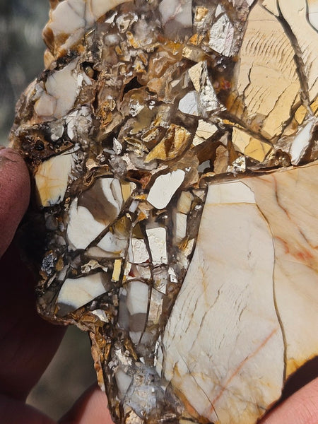 Polished Brecciated Mookaite slab BM341