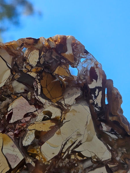 Polished Brecciated Mookaite slab BM341