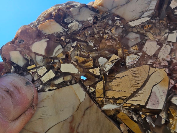 Polished Brecciated Mookaite slab BM341