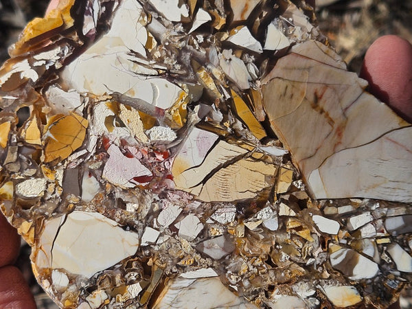 Polished Brecciated Mookaite slab BM341