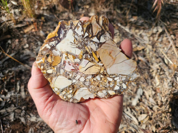 Polished Brecciated Mookaite slab BM341