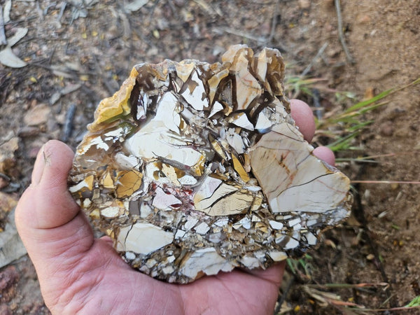 Polished Brecciated Mookaite slab BM341