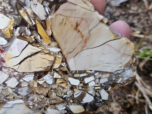 Polished Brecciated Mookaite slab BM341