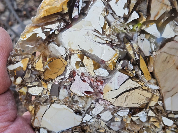 Polished Brecciated Mookaite slab BM341