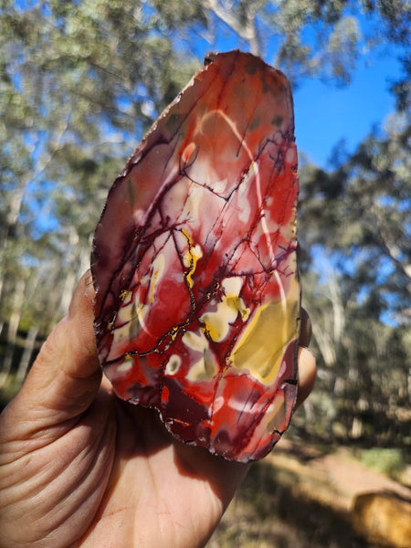 Polished Mookaite  MK566