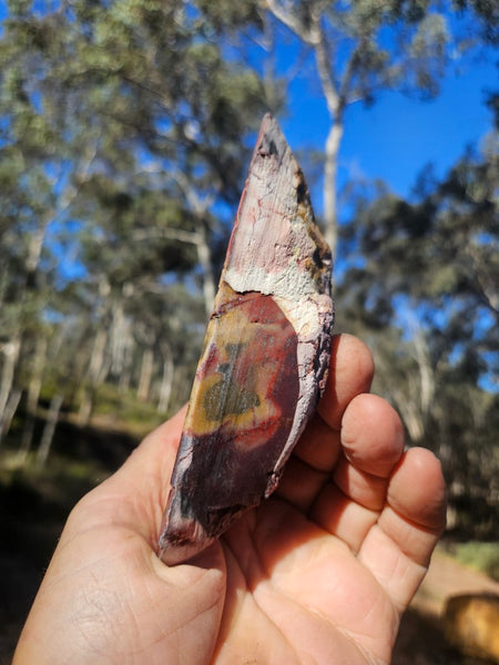 Polished Mookaite  MK566