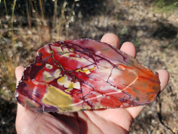 Polished Mookaite  MK566