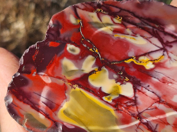 Polished Mookaite  MK566