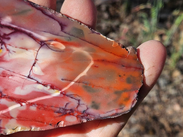 Polished Mookaite  MK566