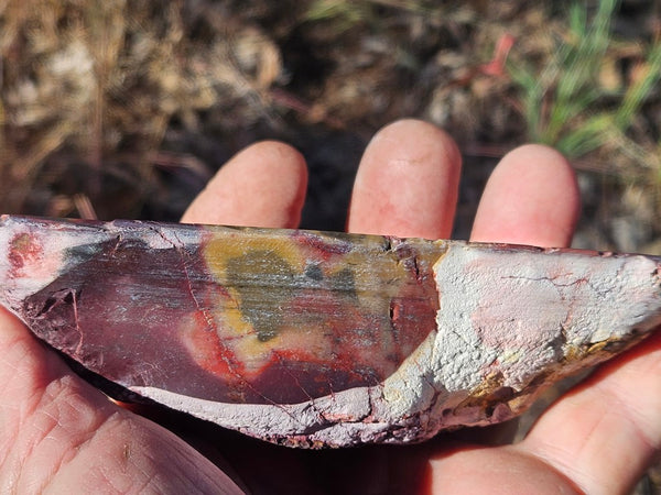 Polished Mookaite  MK566