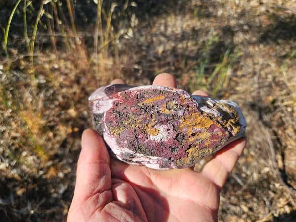 Polished Mookaite  MK566