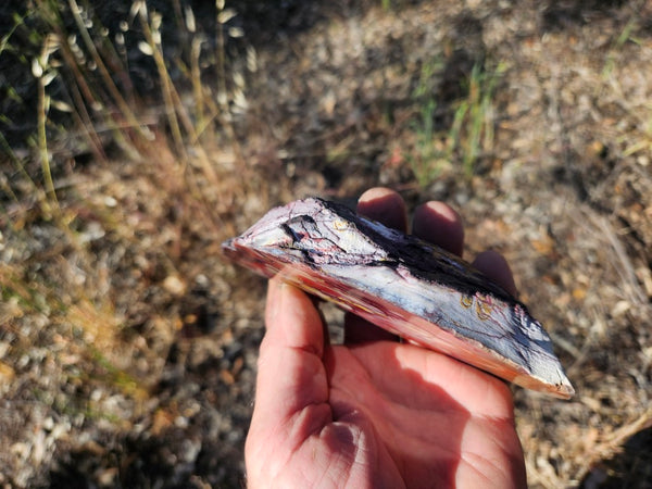 Polished Mookaite  MK566