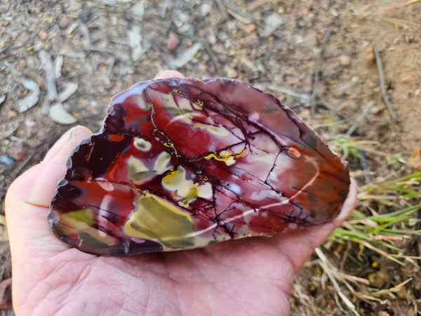 Polished Mookaite  MK566