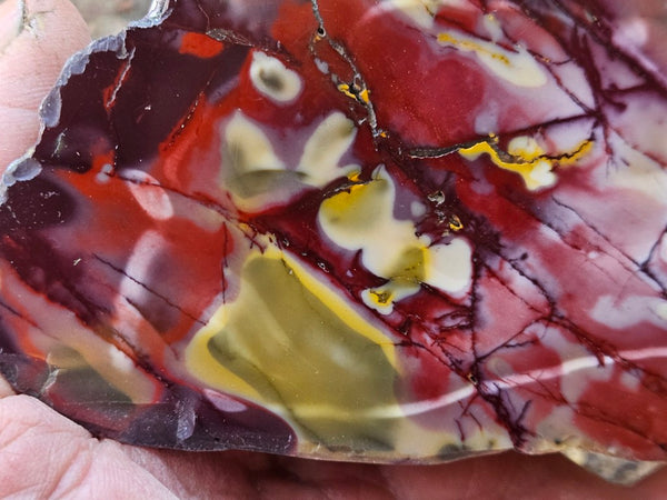 Polished Mookaite  MK566