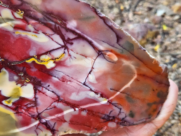 Polished Mookaite  MK566