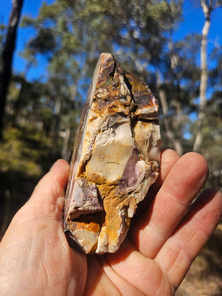 Polished Brecciated Mookaite  BM340