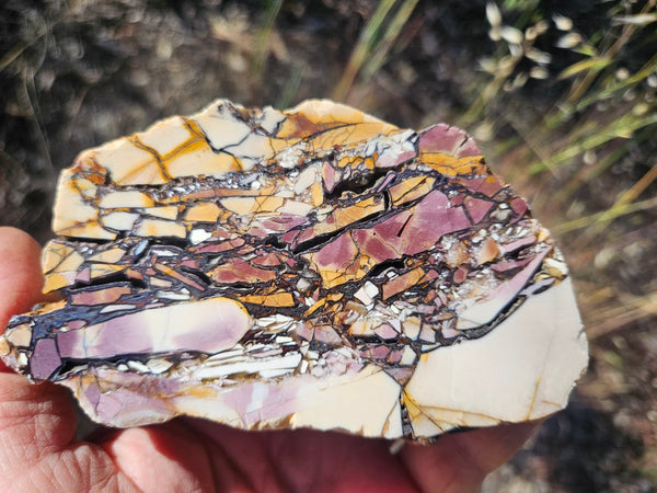 Polished Brecciated Mookaite  BM340