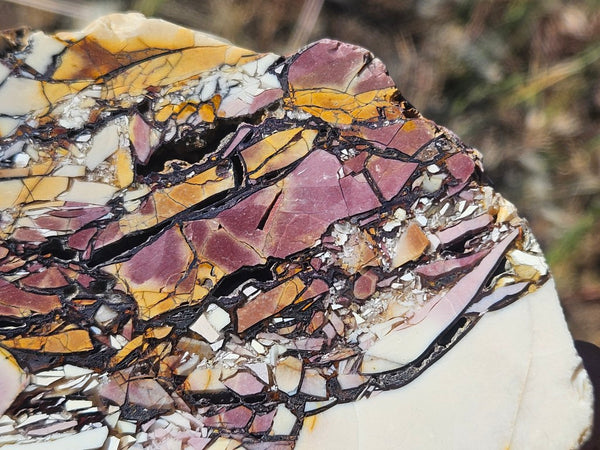 Polished Brecciated Mookaite  BM340