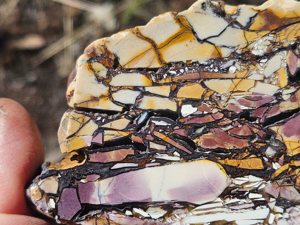 Polished Brecciated Mookaite  BM340