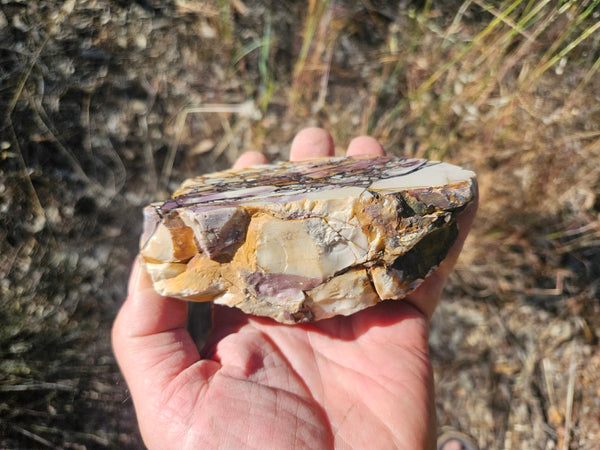 Polished Brecciated Mookaite  BM340