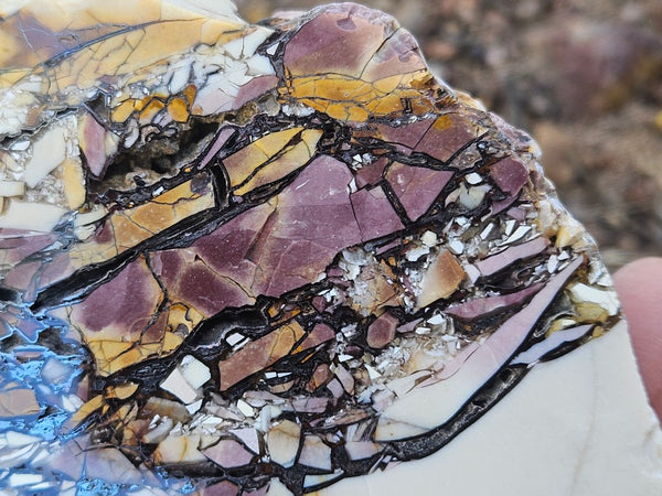 Polished Brecciated Mookaite  BM340