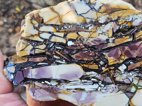 Polished Brecciated Mookaite  BM340