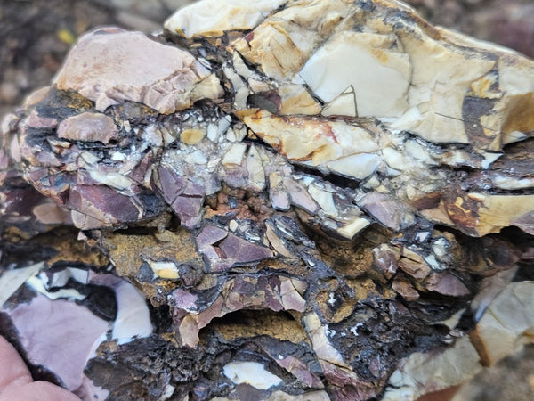 Polished Brecciated Mookaite  BM340