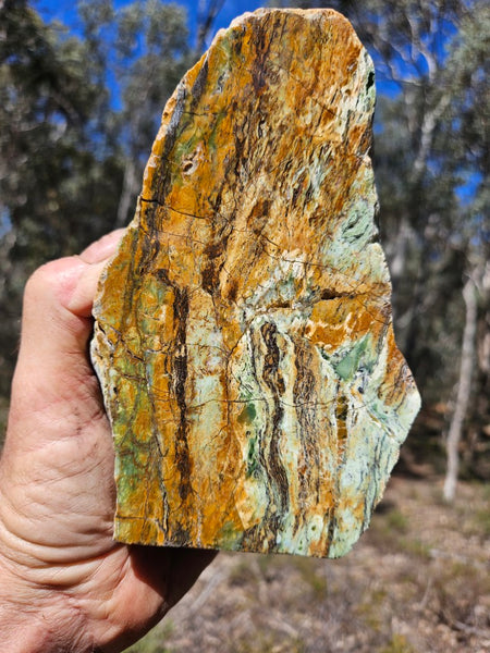 Polished Opalised Serpentine  OPS116