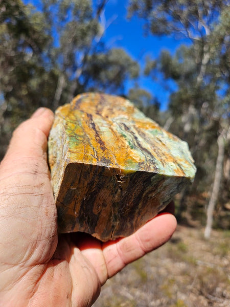 Polished Opalised Serpentine  OPS116