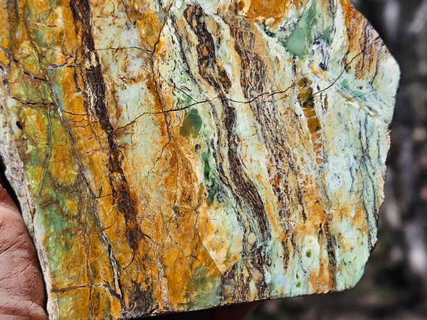 Polished Opalised Serpentine  OPS116