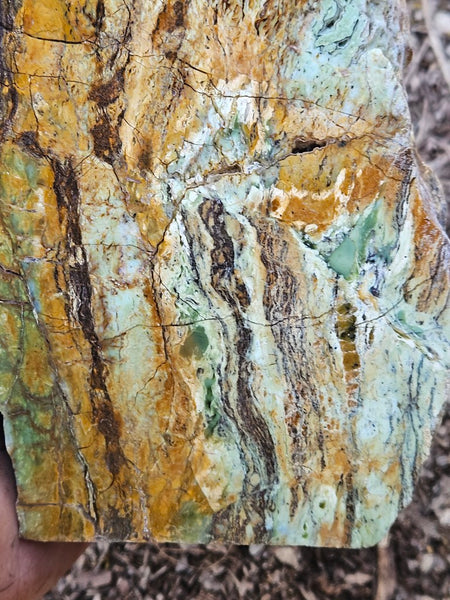 Polished Opalised Serpentine  OPS116