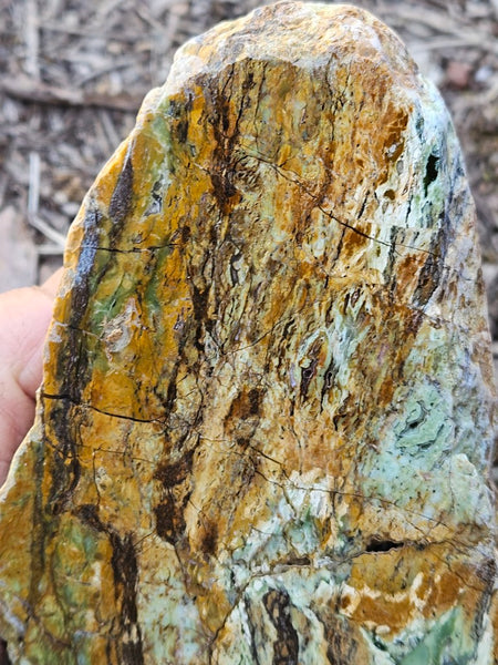 Polished Opalised Serpentine  OPS116