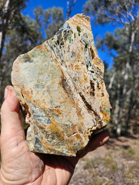 Polished Opalised Serpentine  OPS117