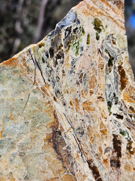 Polished Opalised Serpentine  OPS117