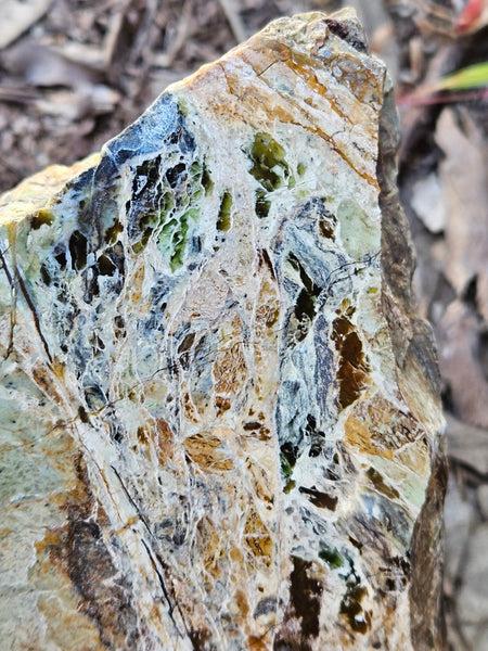 Polished Opalised Serpentine  OPS117