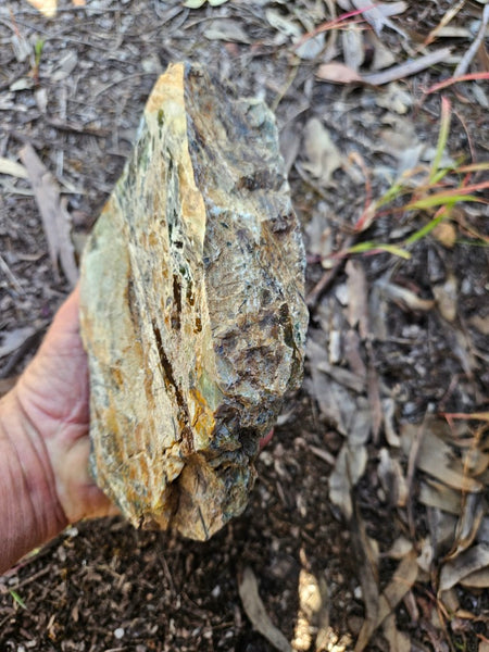 Polished Opalised Serpentine  OPS117