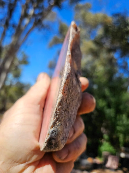 Polished Rhodonite  RH305