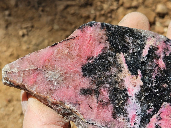 Polished Rhodonite slab RH302