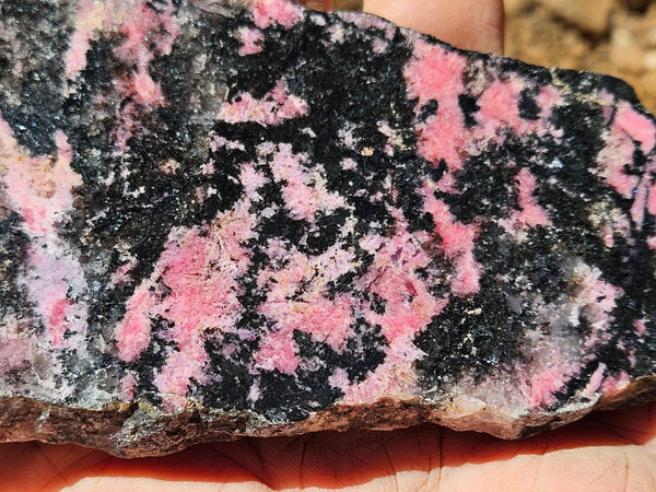 Polished Rhodonite slab RH302