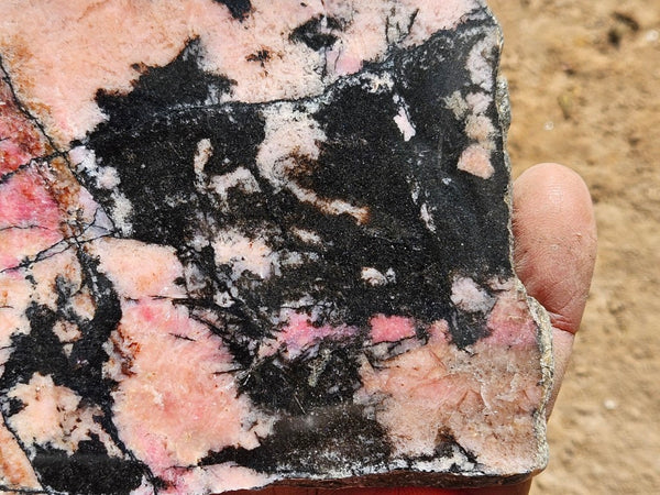 Polished Rhodonite slab RH303