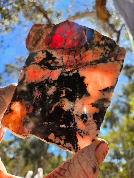 Polished Rhodonite slab RH303