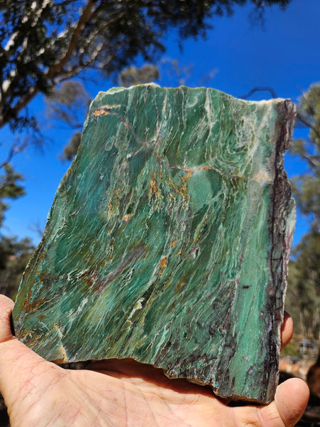 Polished Prase slab PS269