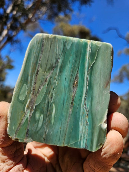 Polished Prase PS271