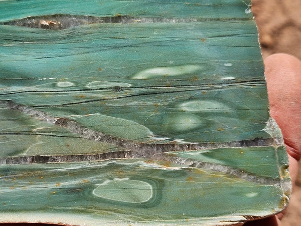 Polished Prase PS271