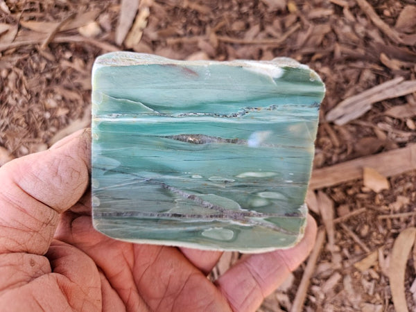 Polished Prase PS271