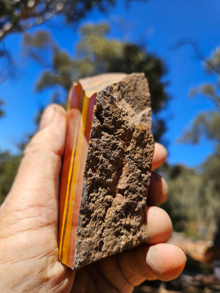 Polished Desert Sunset DS206