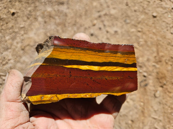 Polished Desert Sunset DS206