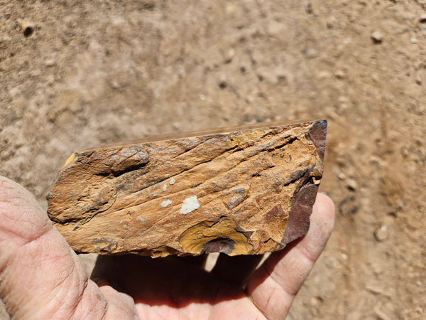 Polished Desert Sunset DS206