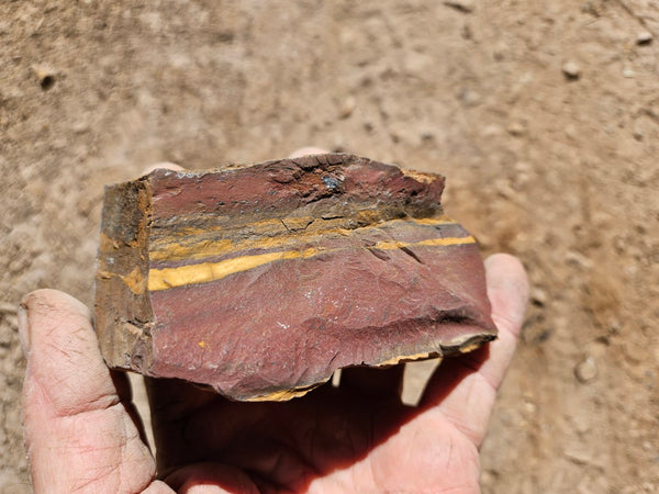 Polished Desert Sunset DS206